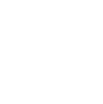 Camso Tracks